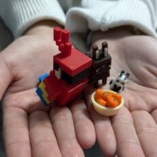 マイクラのオウム